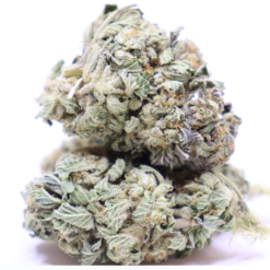 Afghan Kush