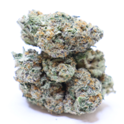 Alaskan Purple