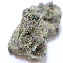 Black Gas
