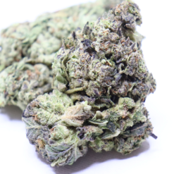 Blueberry Gas