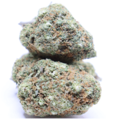 Pink Gelato