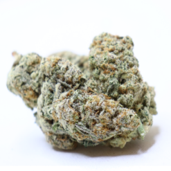 Stardawg