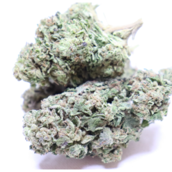 Super Glue Haze cannabis flower with frosty green buds and purple tones