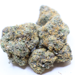 Tutankhamon cannabis flower with dense frosty buds, purple tones and orange pistils