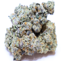 Blueberry Sherbet