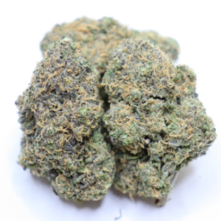 Durban Biscotti