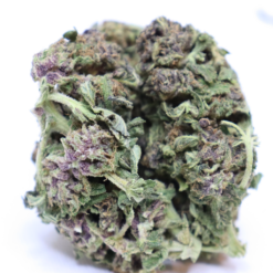 Blueberry Kush