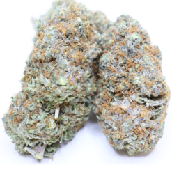 Mango Pineapple Haze