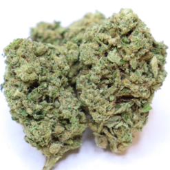 Raspberry Cough