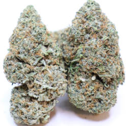 Sour Diesel