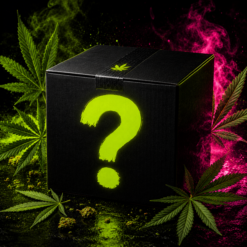 Mystery Box