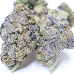 Critical Kush