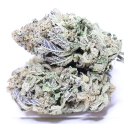 Berry Cream Puff cannabis flower with frosty green buds and purple-blue tones