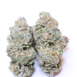Blue Cookies