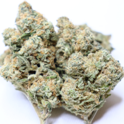 Blue Diesel