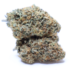 Orange Cookies